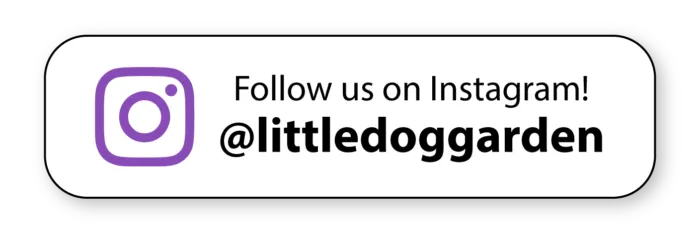 follow us on Instagram! @littledoggarden